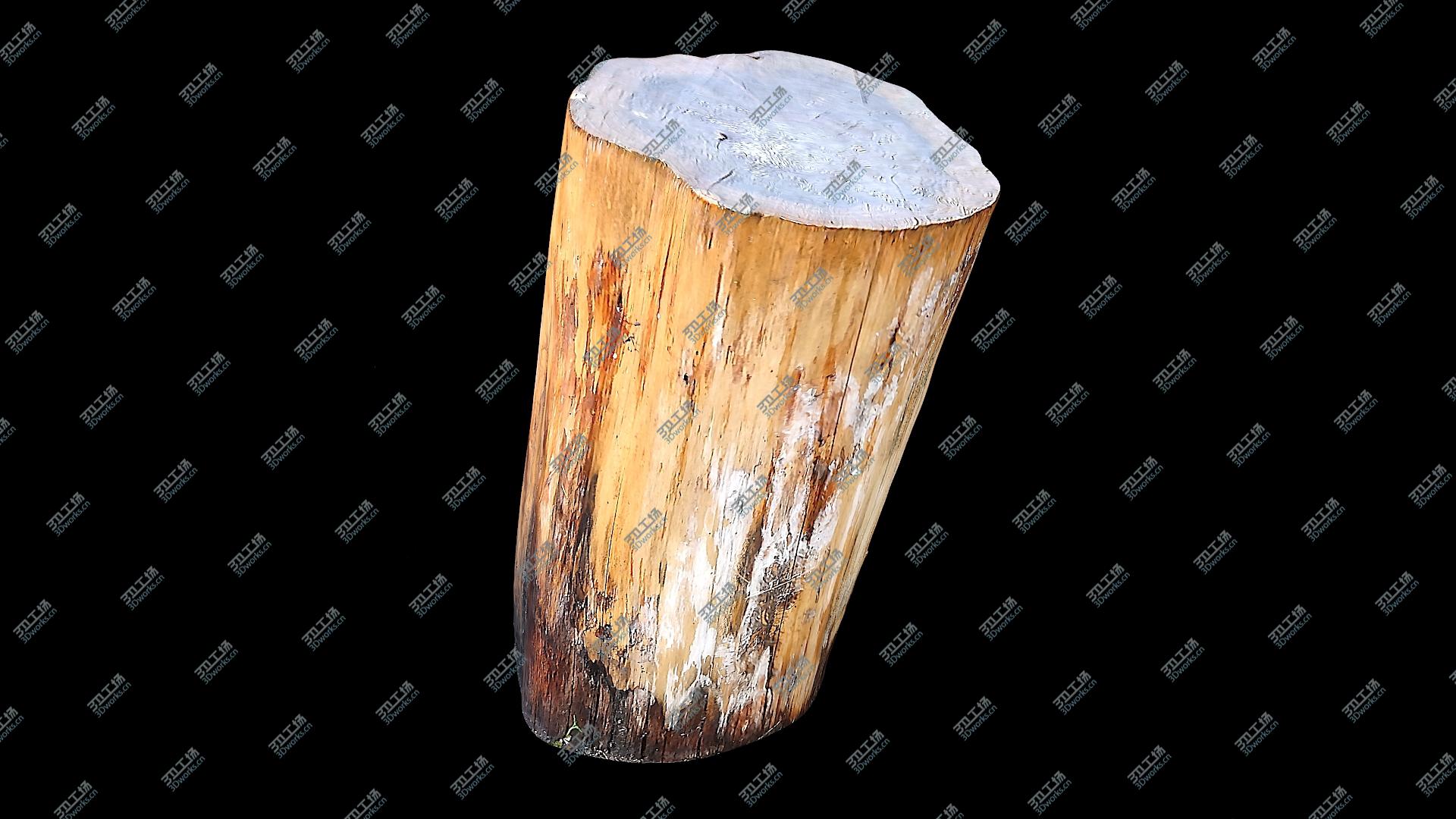 images/goods_img/20210319/Tree Stump Collection 06 3D model/5.jpg